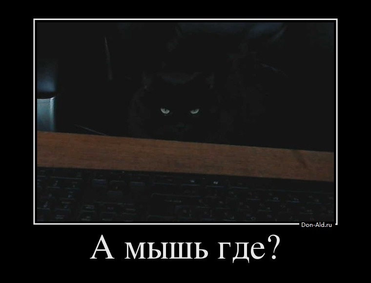 a-myish-gde_don-ald_ru