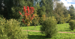 Первое сентября